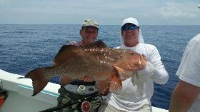 biggest red grouper